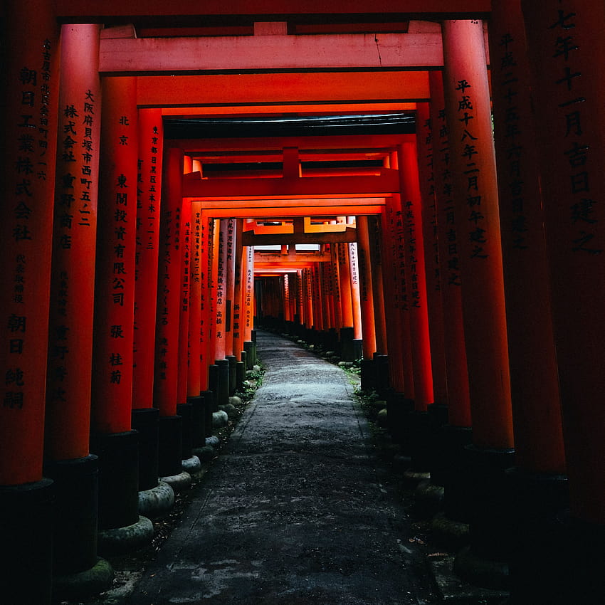 3415x3415 cancello, torii, architettura, ipad rosso, anime torii gate Sfondo del telefono HD