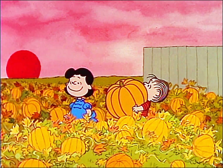 Charlie Brown Thanksgiving, joe mama HD wallpaper