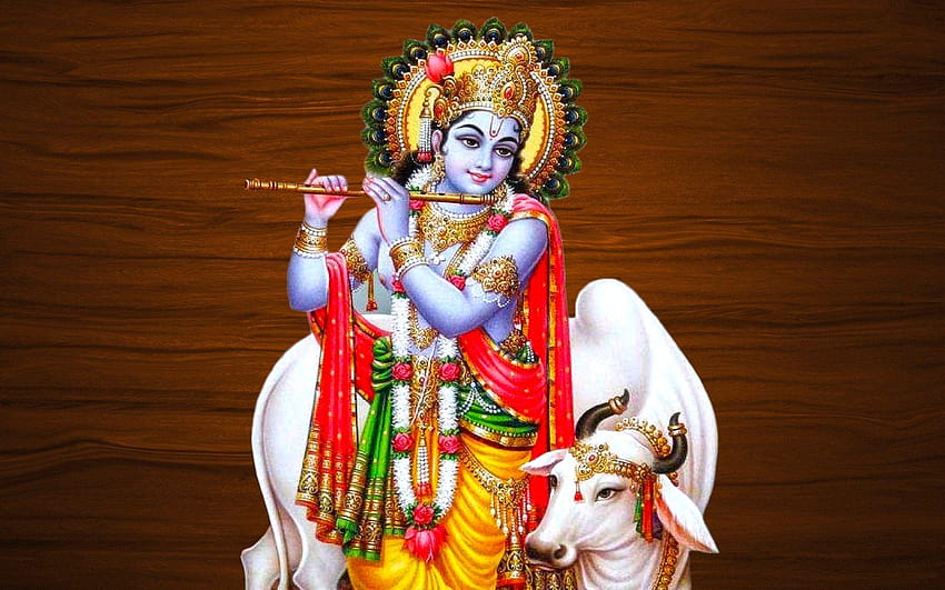 Lord Krishna with cow HD wallpaper