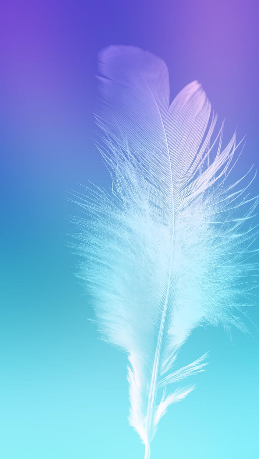 Feather Galaxy Note 7, samsung galaxy note 7 HD phone wallpaper