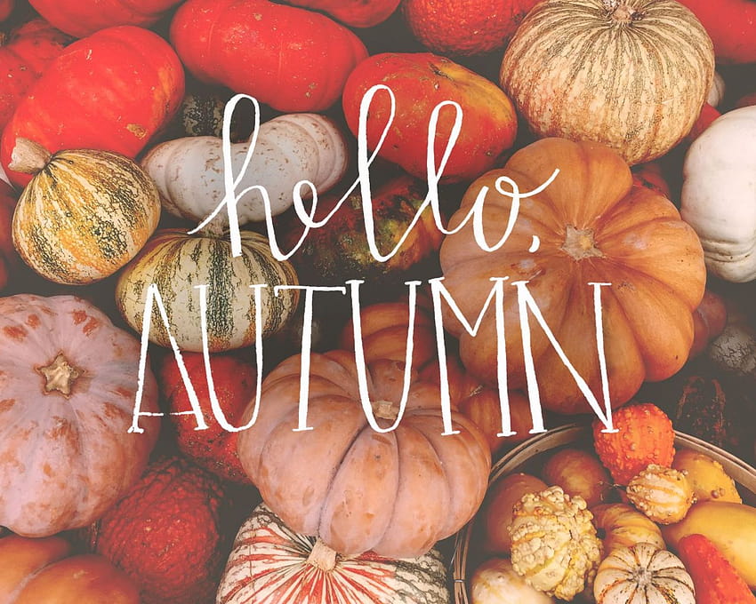 cool Hello Autumn backgrounds in 2019 Fall Laptop [1856x1161] for your , Mobile & Tablet, aesthetic laptop autumn HD wallpaper