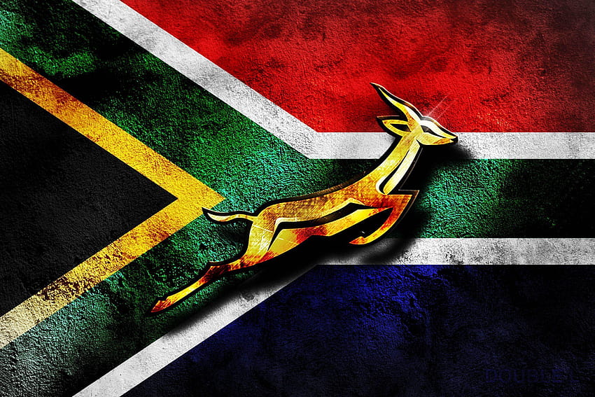 ธงรักบี้แอฟริกาใต้ : และมือถือ : Wallippo วอลล์เปเปอร์ HD