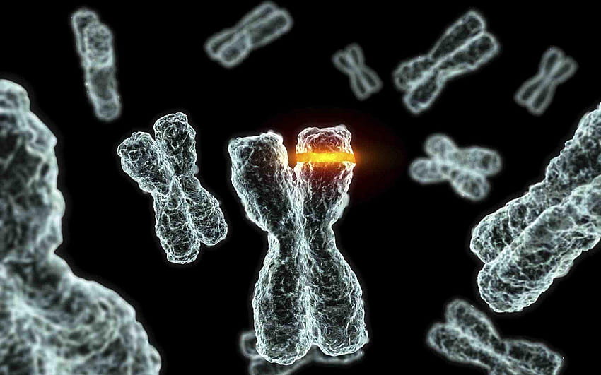 Хромозомна ДНК модел Генетичен 3d Психеделичен В 3d HD тапет
