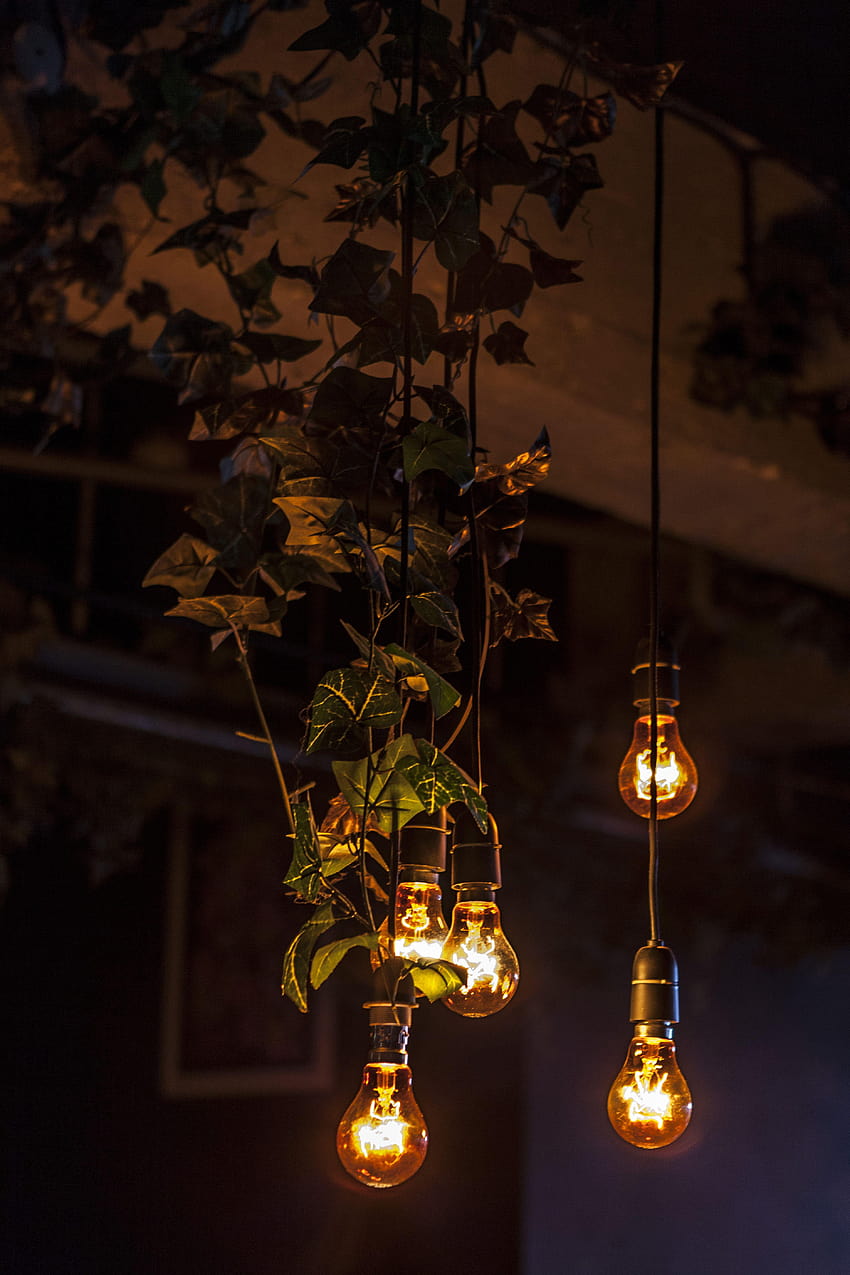Hanging lightbulbs, aesthetic lights HD phone wallpaper