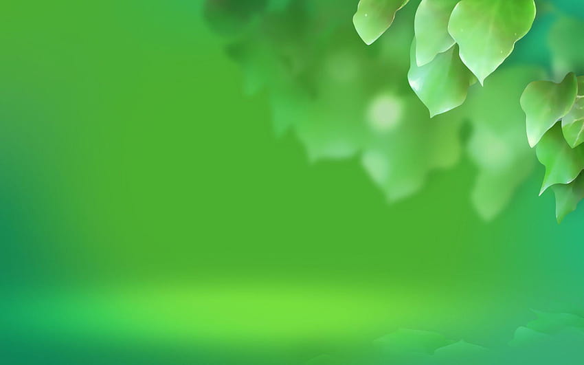 Green Backgrounds 38, web background green HD wallpaper