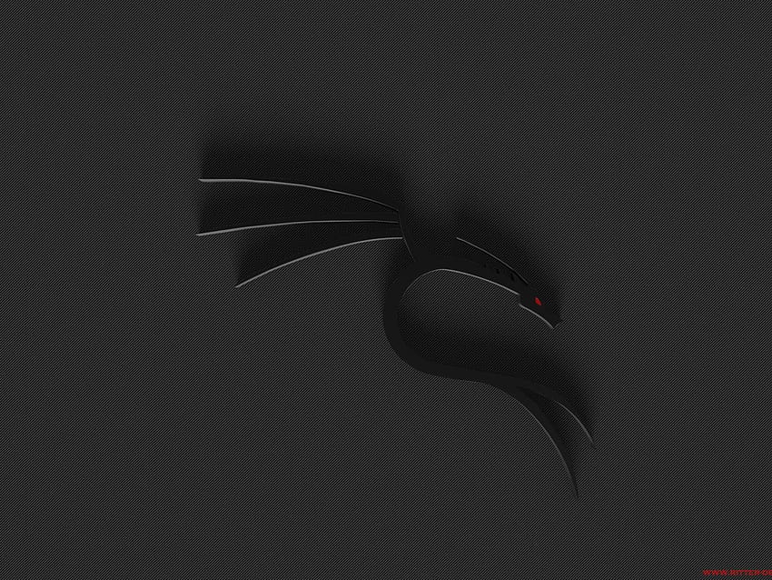 Black Dragon Kali Linux » На, kali linux android HD тапет