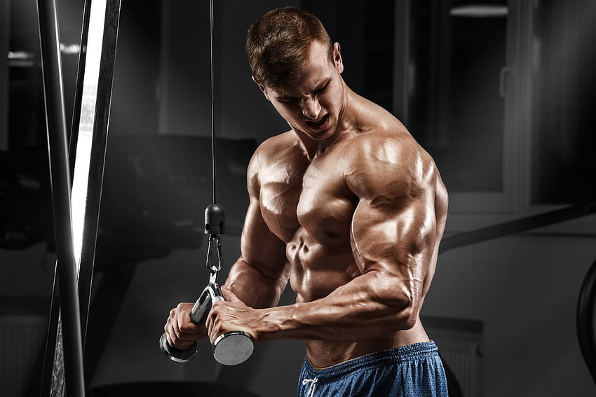 Bodybuilding Fitness Man Muscle, muscular man HD wallpaper