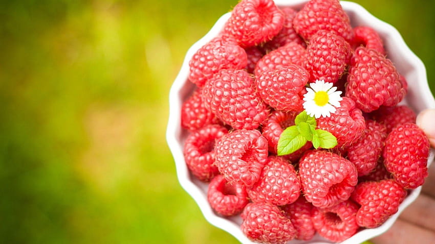 Fresh Raspberries Bowl HD wallpaper