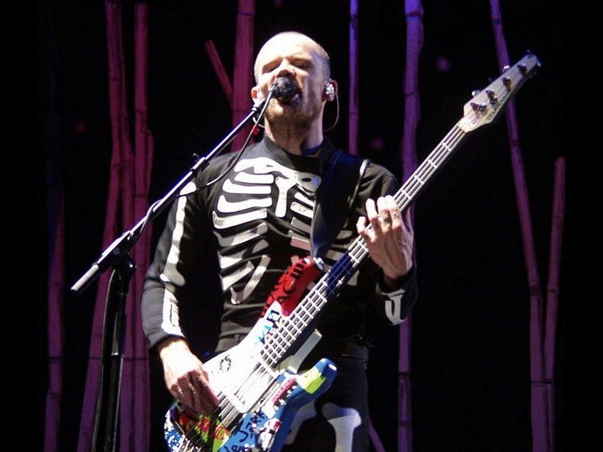 Flea: 15 Things You Didn't Know (Part 1)