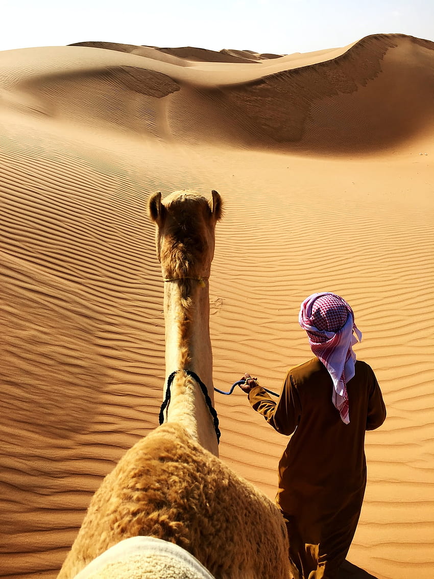 Arabian Desert, arab desert iphone x HD phone wallpaper