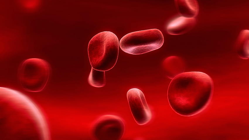 Mikroskopis Sel Darah Merah oleh Daily, mikroskop Wallpaper HD