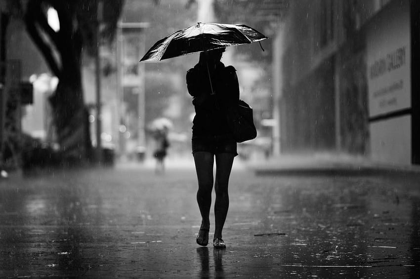 빗속에서 우산을 들고 걷는 여자, 여자들을 걷다 HD 월페이퍼