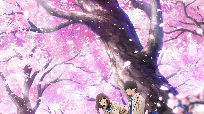 1600x900 Yamauchi Sakura, Kimi No Suizou Wo Tabetai, Sakura Blossom, Pétalas, Flor, Cereja, sakura yamauchi papel de parede HD