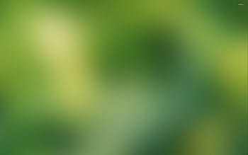 Milky green blurred background HD wallpapers | Pxfuel