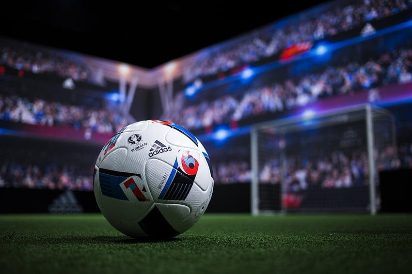 Bola de futebol Adidas no cachorro papel de parede HD
