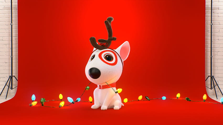Target: Bullseye Auditions, target dog HD wallpaper