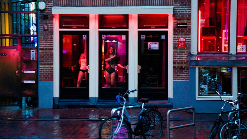Save Our Windows Amsterdams Plan for the Red Light District [1600x900] for your , Mobile & Tablet HD wallpaper