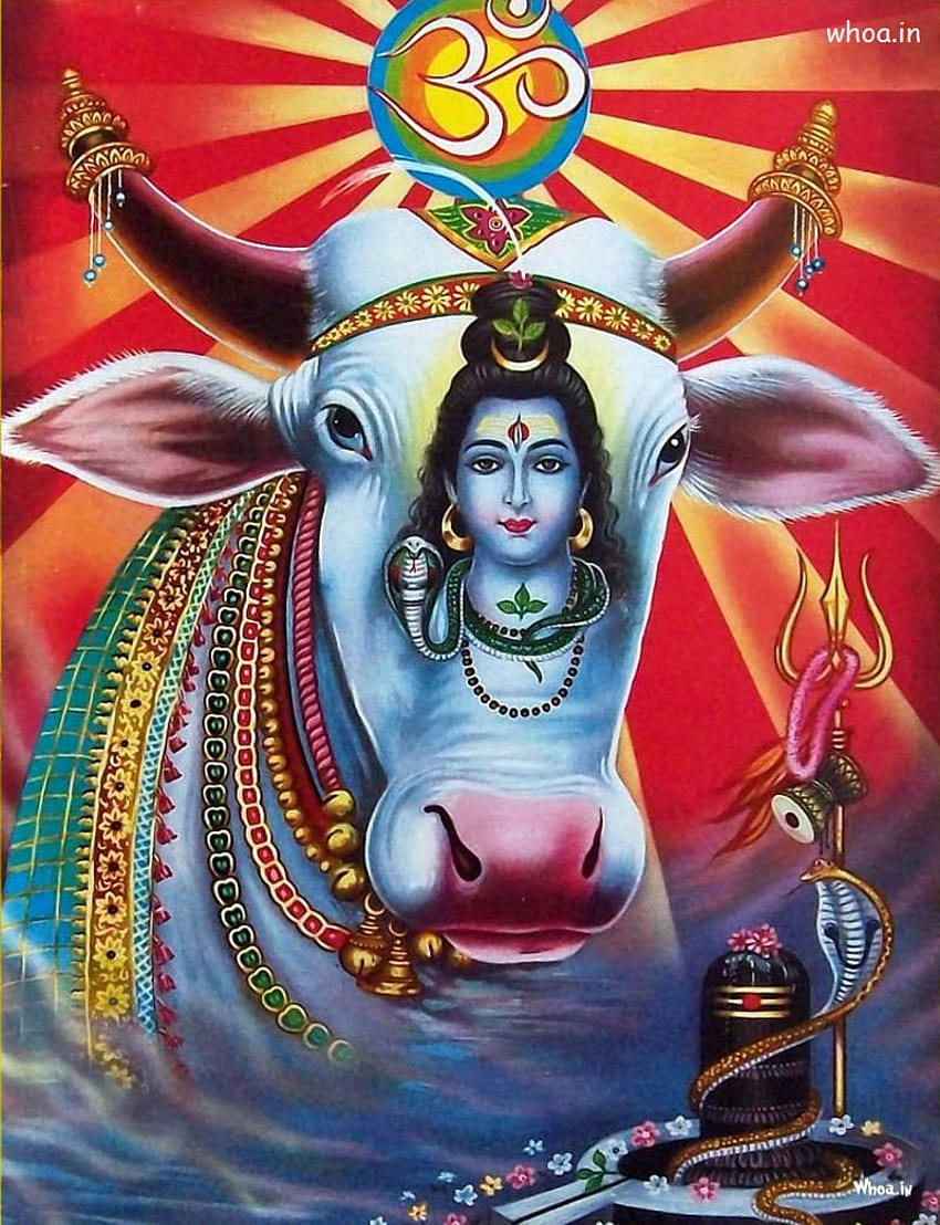 Lord shiva 7 Lord Shiva Bholenath Bhole [800x1043] for your ...