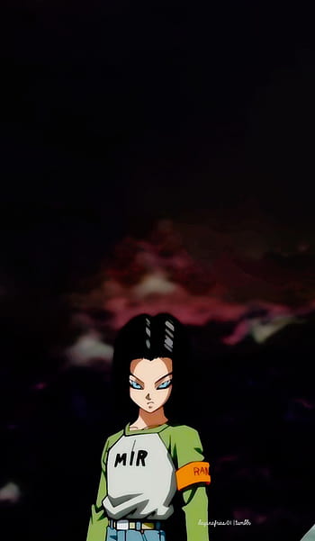 HD wallpaper Dragon Ball Super Android 17 one person front view real  people  Wallpaper Flare