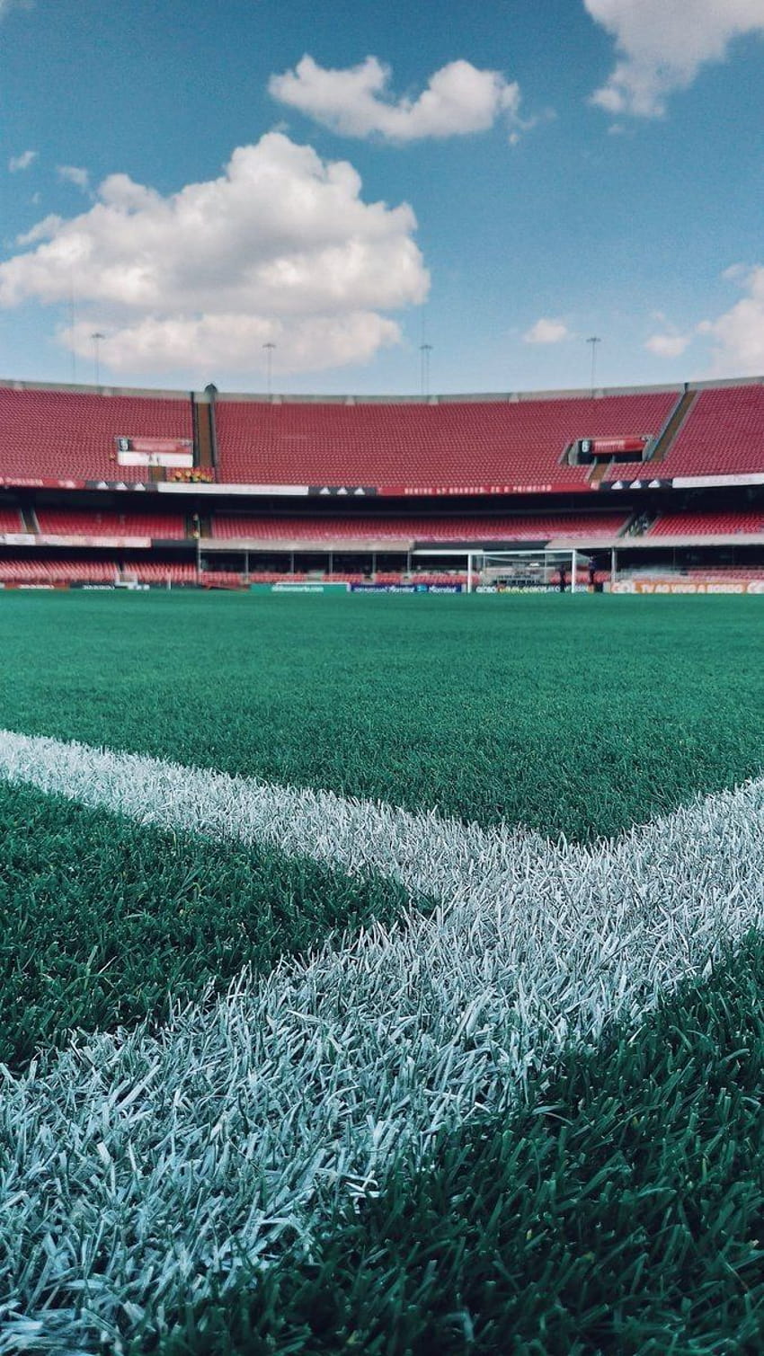 Vista do gramado, Estádio do Morumbi, São Paulo SP fondo de pantalla del teléfono