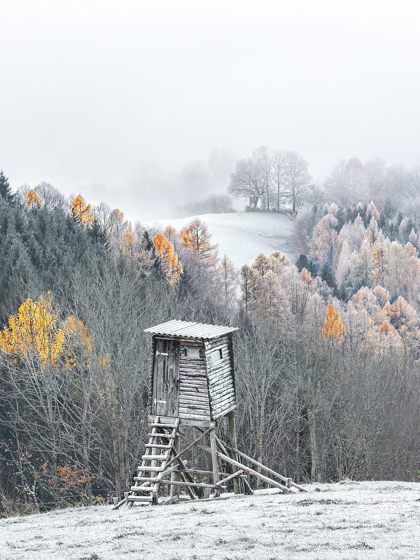 Winterlandschaft HD-Handy-Hintergrundbild