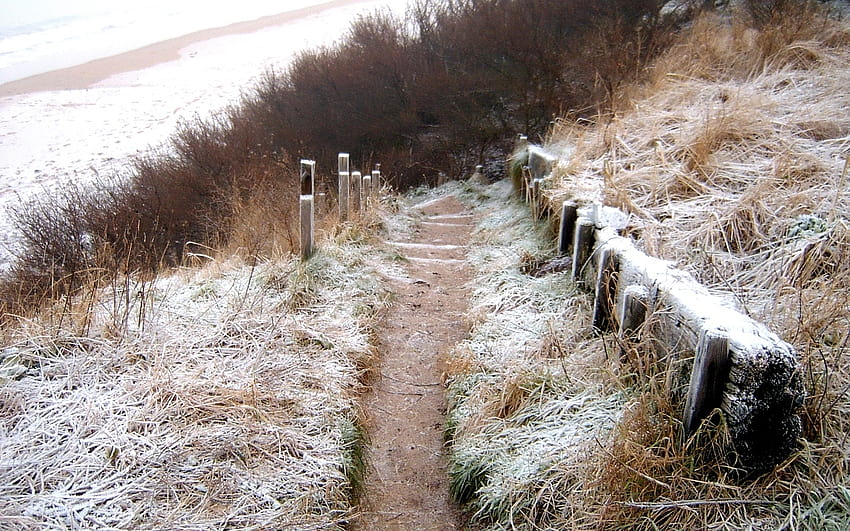 landscapes nature coast fences grass path scotland frost winter 1920x1200 High Quality ,High Definition, winter grassland HD wallpaper
