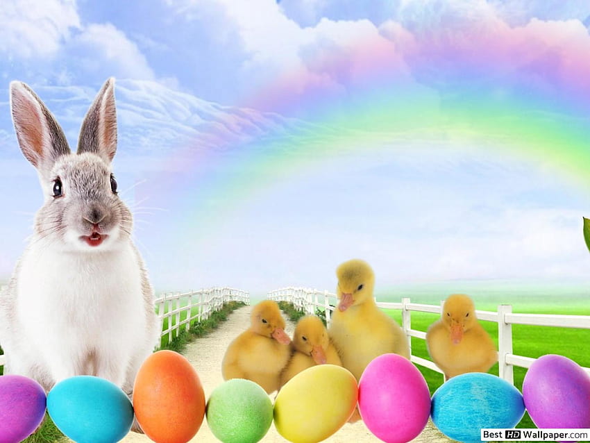 Easter Bunny & Chick, chick easter HD wallpaper
