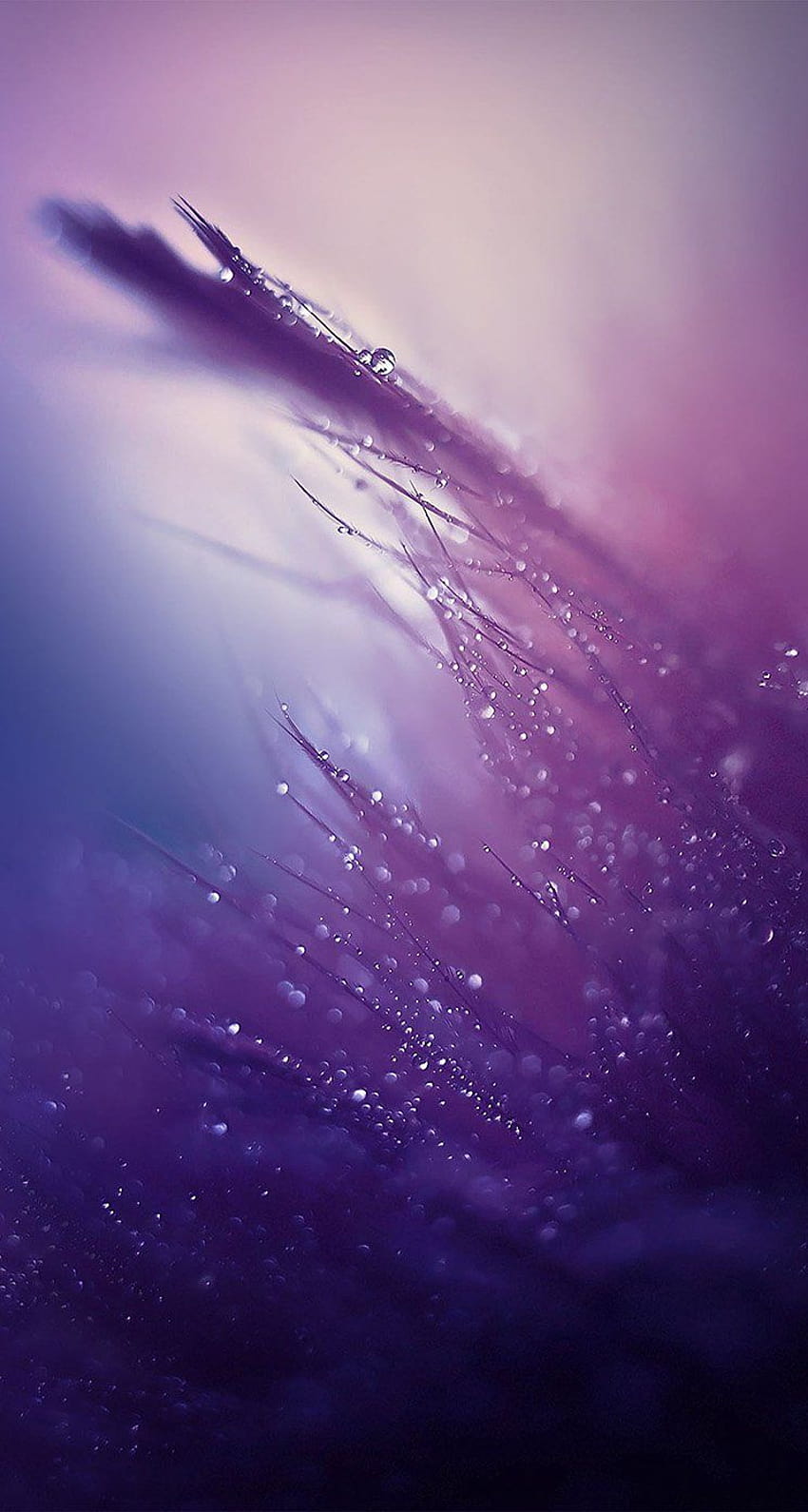 Purple Rain For Your ... pinterest, phone rain Papel de parede de celular HD