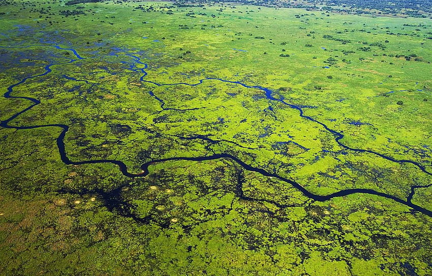 sungai, Brasil, Delta, Mato Gross, Taman Nasional Pantanal , bagian природа Wallpaper HD