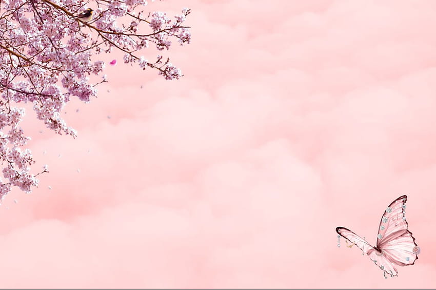 latar belakang sederhana estetika merah muda, estetika lanskap merah muda Wallpaper HD