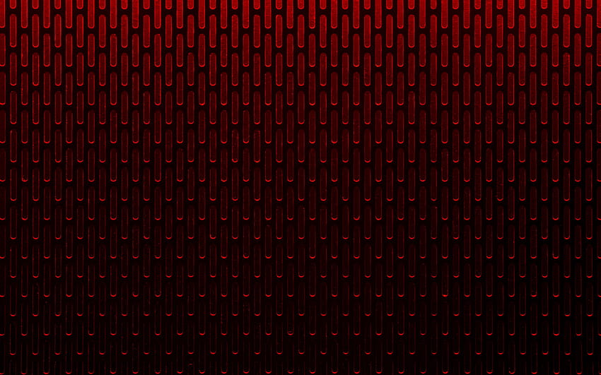 Red on Dog HD wallpaper | Pxfuel