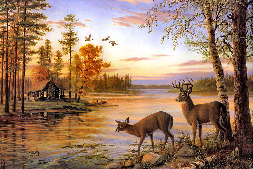 Dwa jelenie piją wodę na rzece o zachodzie słońca, sztuka jelenia Tapeta HD