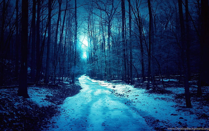 Forest Blue Winter Dark Spooky Road Backgrounds, winter spooky HD wallpaper