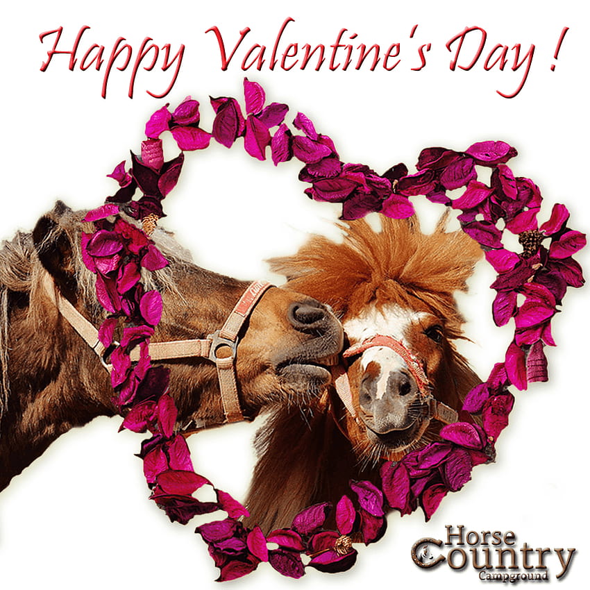 Fresh Happy Valentines Day With Horses, Valentines Day Horse Hd Phone 