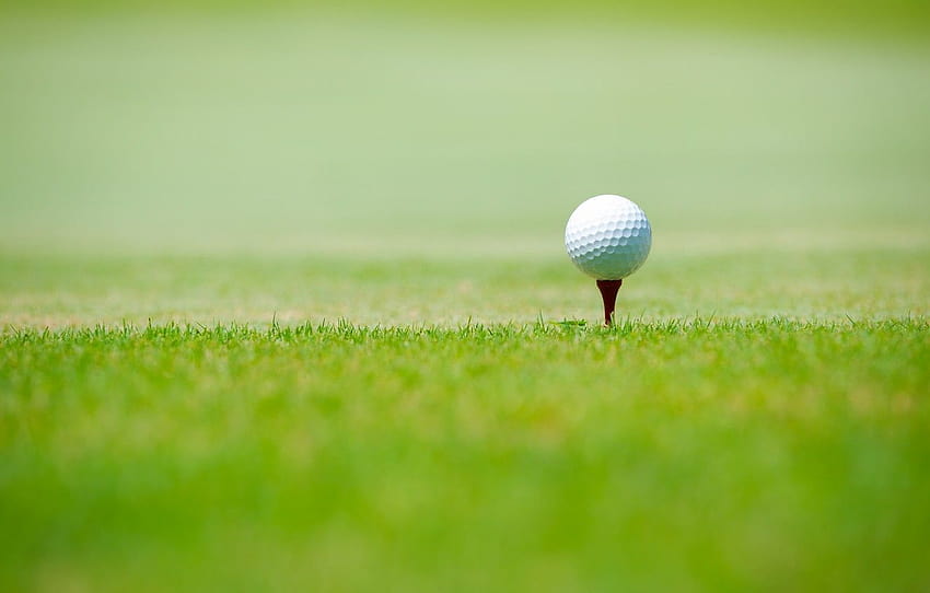sport, green grass, Golf ball , section спорт HD wallpaper