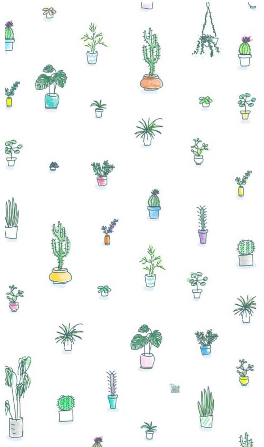 cute plants by Kani117, cute aesthetic cactus HD phone wallpaper