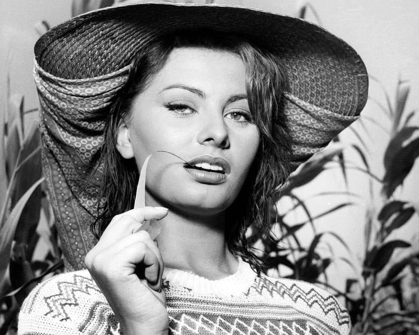 La vida con estilo de Sophia Loren fondo de pantalla