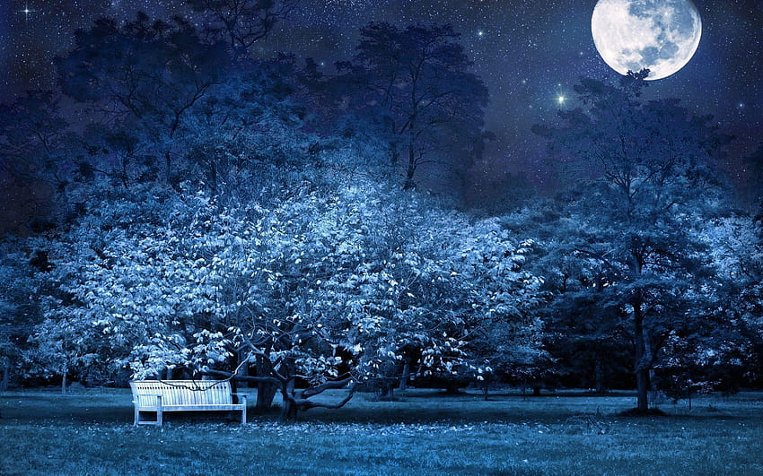 Night, Bench, Park, Trees, Stars, Full moon, Sky, Light, moon full light HD wallpaper