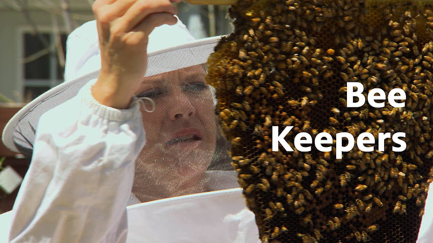 Beekeeping HD wallpaper