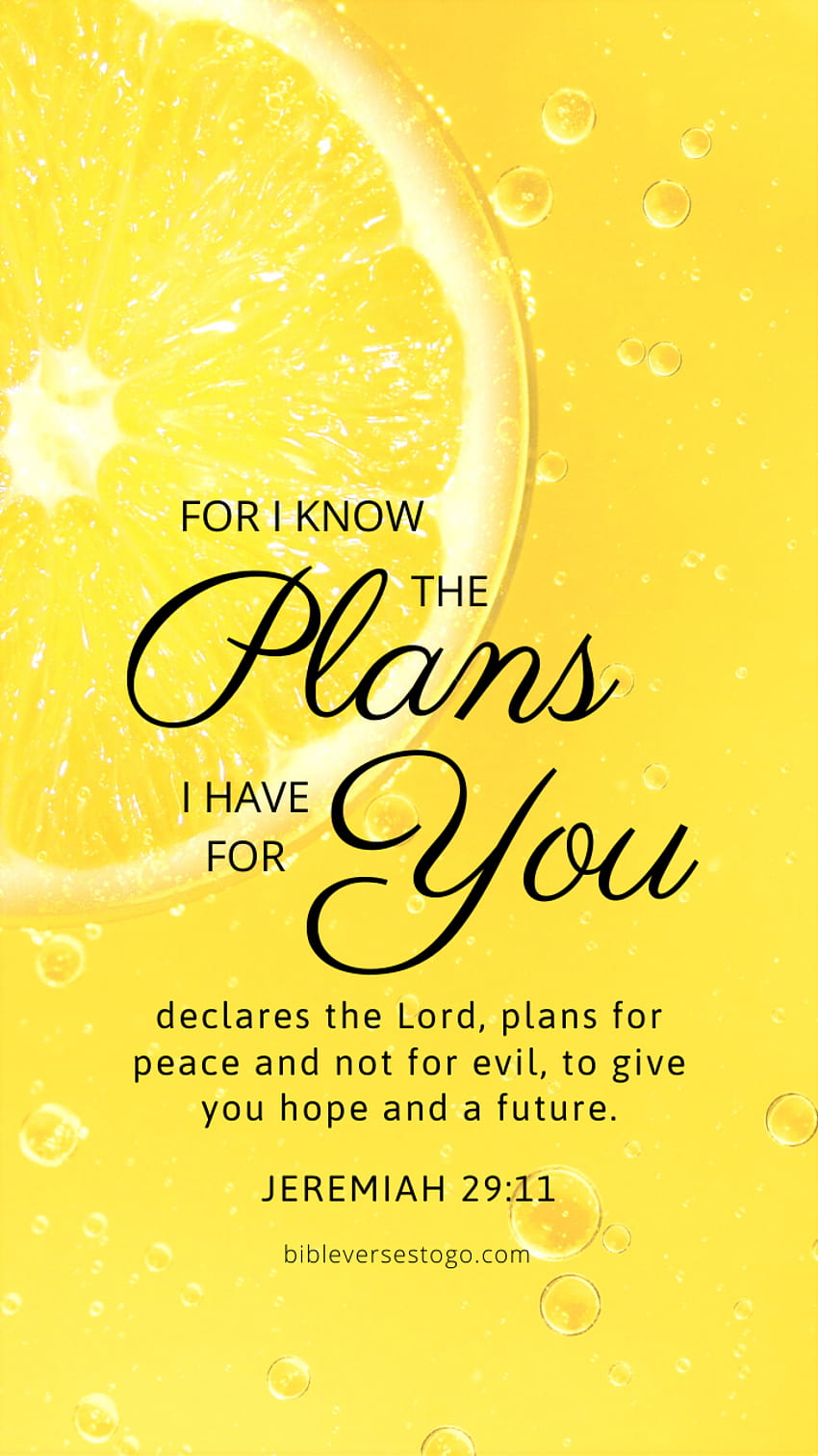 Pin on Inspirational Bible Verse of the Day, best phone jeremiah 2911 HD phone wallpaper