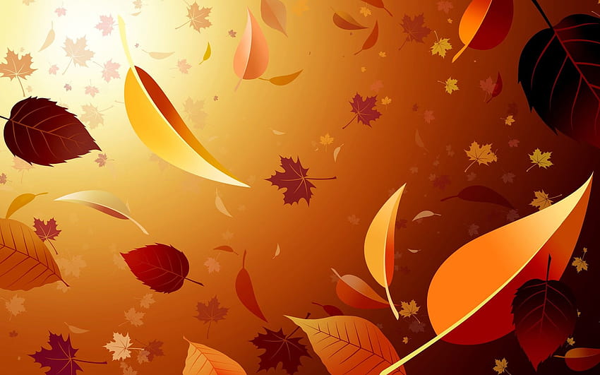 autumn warm abstract HD wallpaper