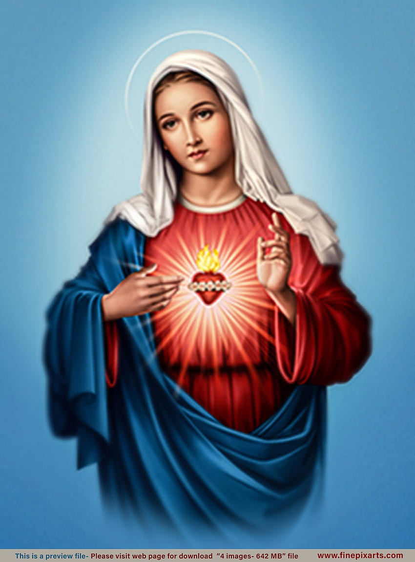 the immaculate heart of mary HD phone wallpaper
