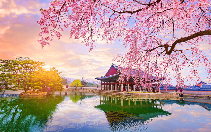 Wiosna w Korei Południowej, koreańska wiosna Tapeta HD