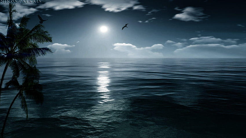 Oceans: Perfect Island Ocean Moon Nature Moonlight Night Sea 高画質の壁紙