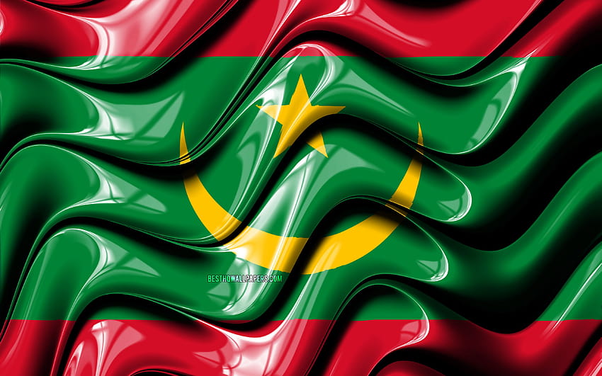 Mauritanian Flag Africa National Symbols Flag Of Mauritania 3d Art Mauritania African 1299