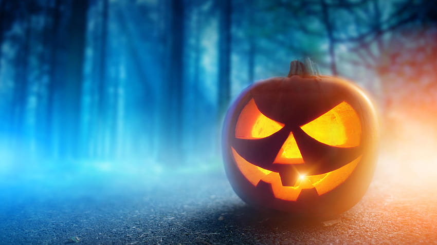 Halloween, pumpkin lantern, face, night, trees, halloween pumpkin face HD wallpaper