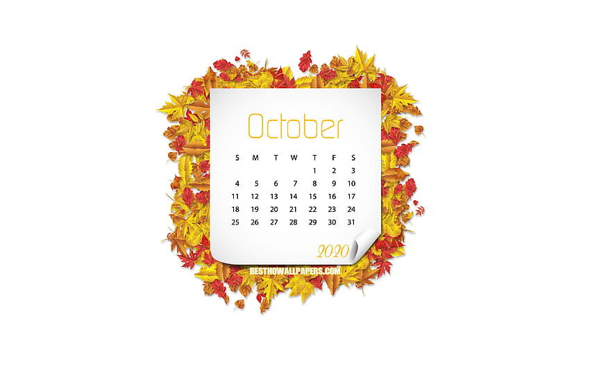 Calendrier d'octobre 2020, fond blanc, feuilles d'automne, octobre, cadre de feuilles jaunes, calendrier d'octobre 2020 avec résolution 3840x2400. Haute qualité Fond d'écran HD