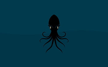 2 Cephalopod Hd Wallpaper 