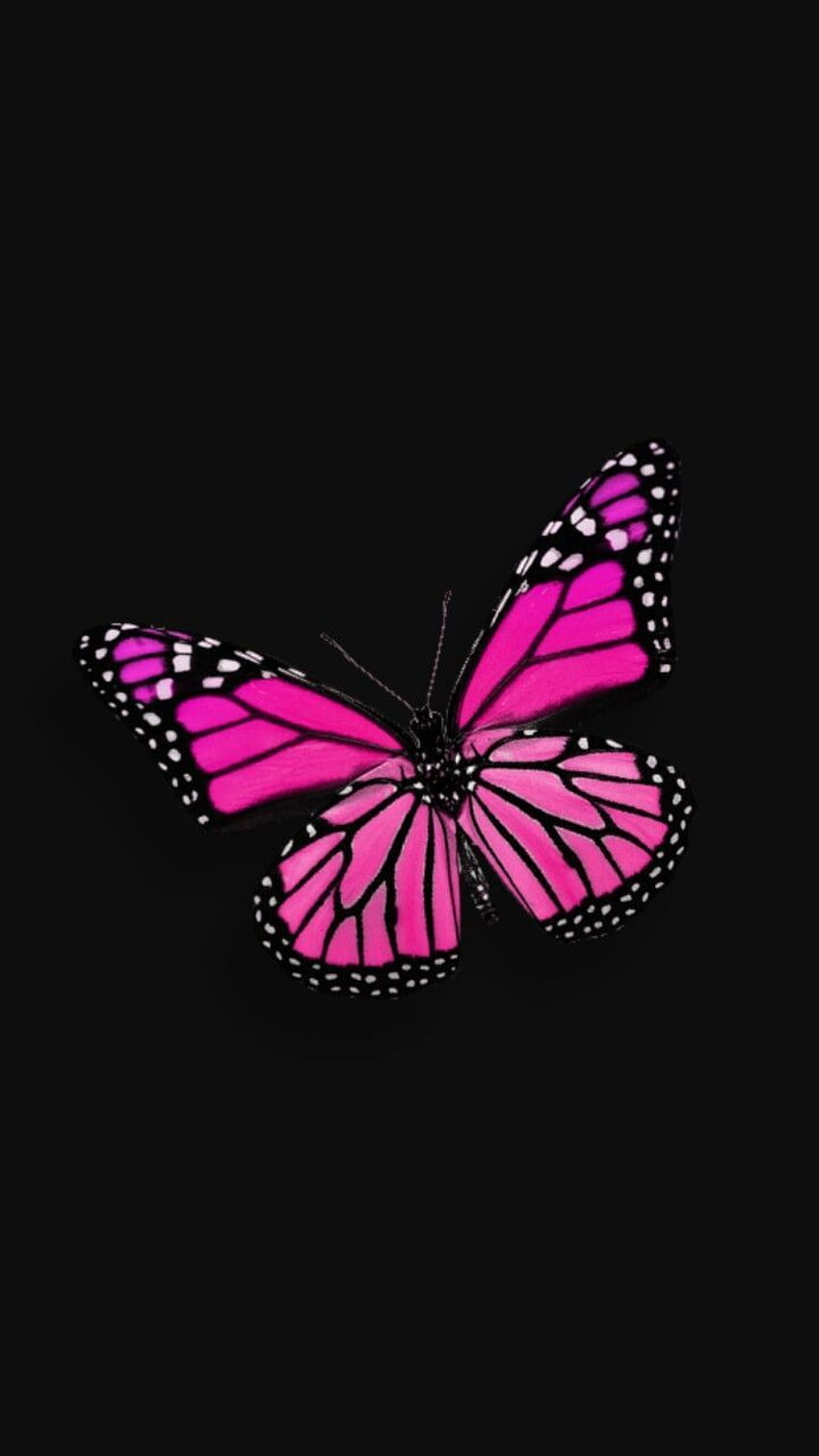 Black and Pink Butterfly, aesthetic black and pink HD phone wallpaper