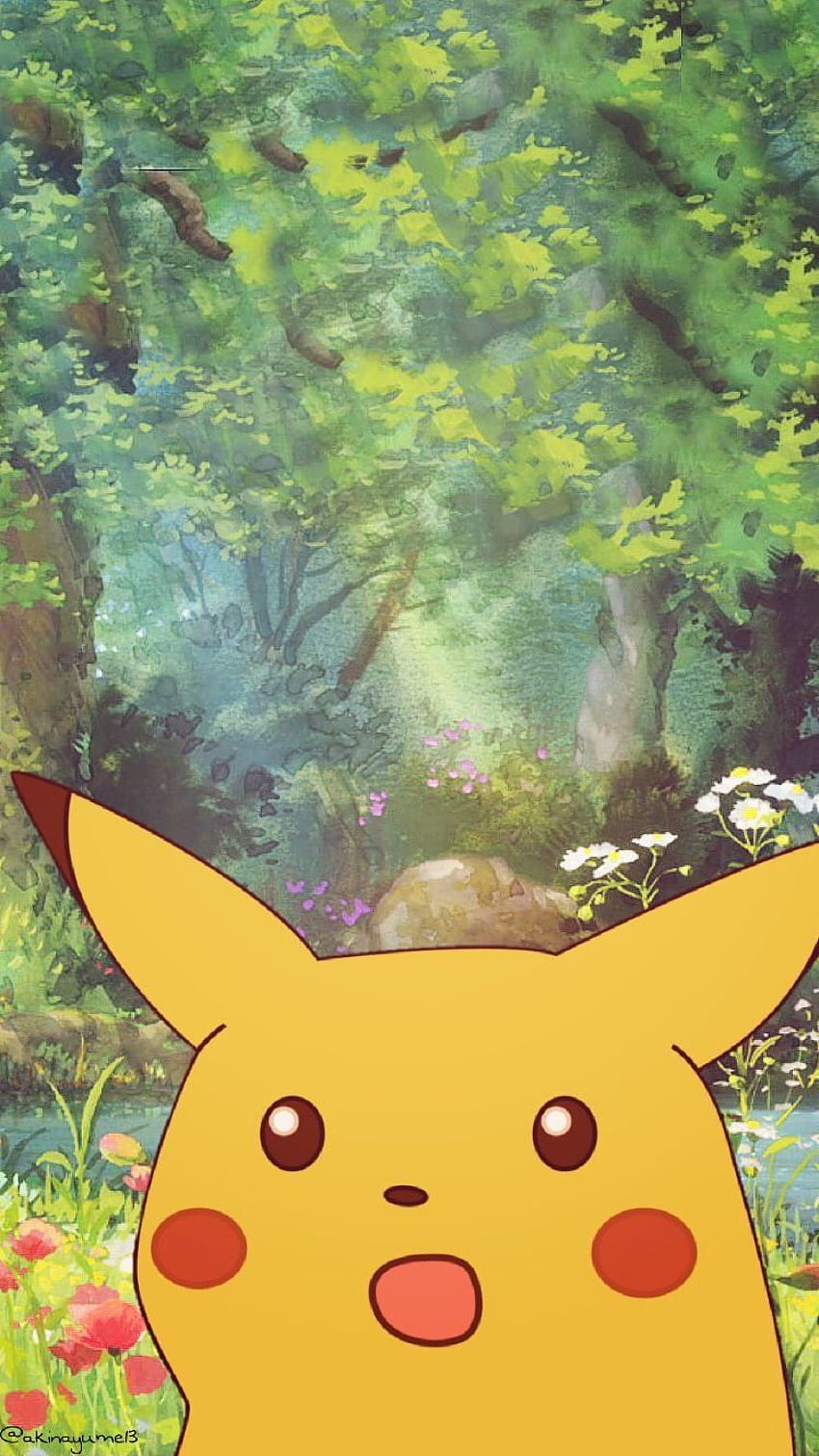 Anime Meme Iphone, pokemon meme HD phone wallpaper